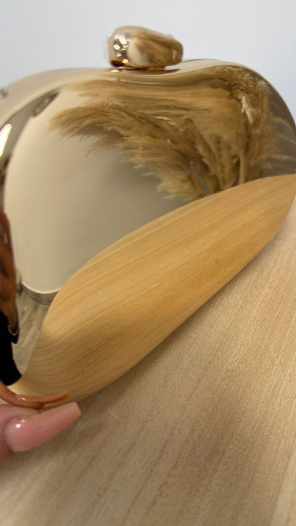 CARTERA VALENTINA ESPEJO