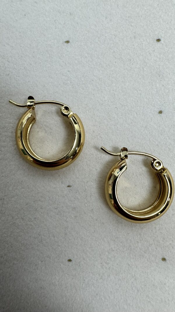 PENDIENTE ARGOLLA CHICA